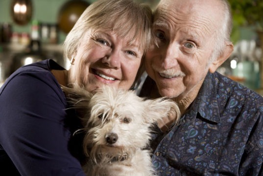 Tips For When a Parent Moves: Their Pet Seniors and their pet