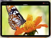 Getting Zinnia TV for Seniors With Dementia Zinnia TV therapeutic caregiving tool