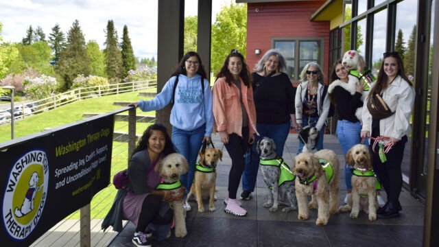 Washington Therapy Dogs