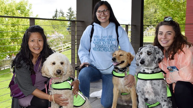 Washington Therapy Dogs