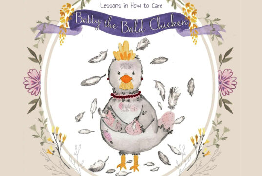 See Caregiving Through the Lens of a Bald Chicken Betty the Bald Chicken: Lessons in How to Care