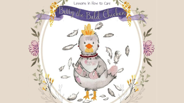 Betty the Bald Chicken: Lessons in How to Care