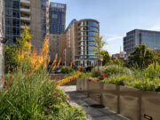 Skyline Seattle, Part 1 Skyline Seattle